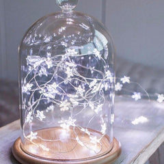 Mini Star Fairy String Lights