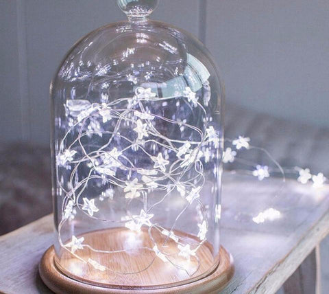 Mini Star Fairy String Lights