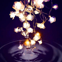 Love Rose Fairy String Lights