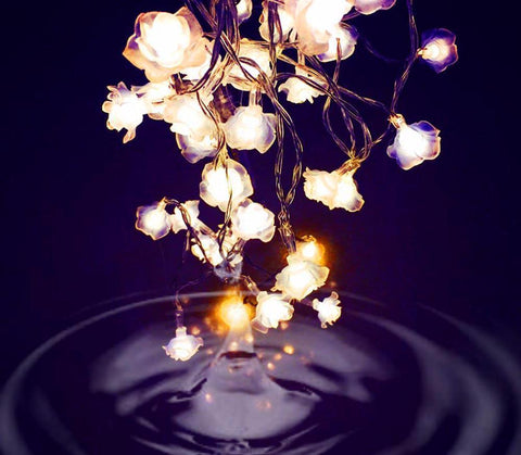 Love Rose Fairy String Lights
